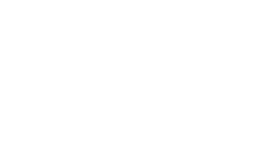 The Shannon Wilker Foundation